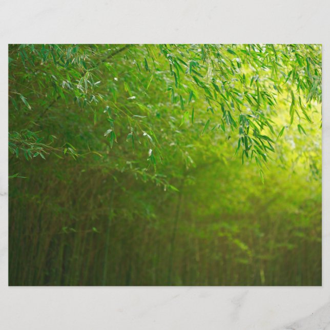 Lámina Bosque de Bambú (Anverso)