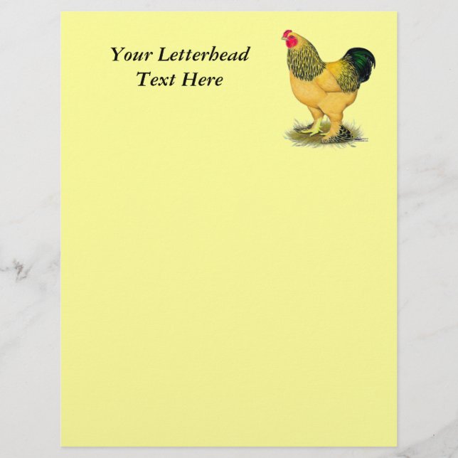 Lámina Brahma: Rooster de Buff (Anverso)