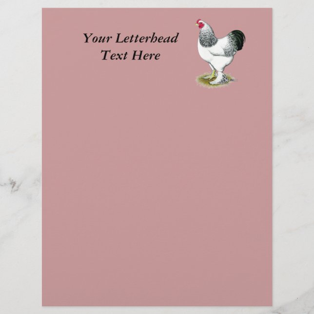 Lámina Brahma: Rooster ligero (Anverso)