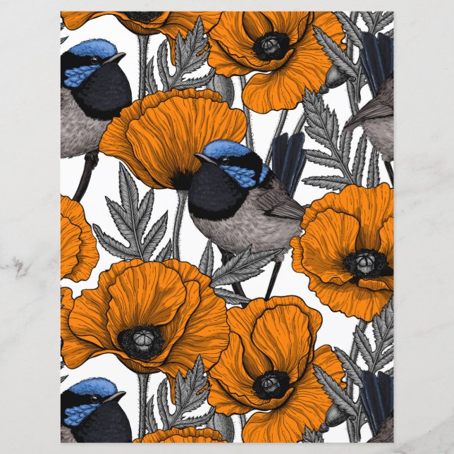 Lámina Brujas de hadas y flores de amapola naranja 2 (Anverso)