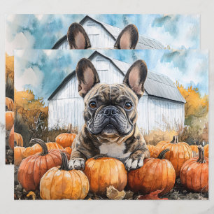 Lámina Bulldog francés en papel de cuadernillo de calabaz