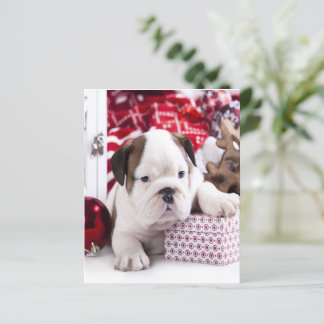 Lámina Bulldog inglés de cachorro suave | Navidades diver