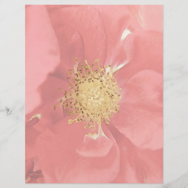 Lámina Bush Rosas Mono (Anverso)