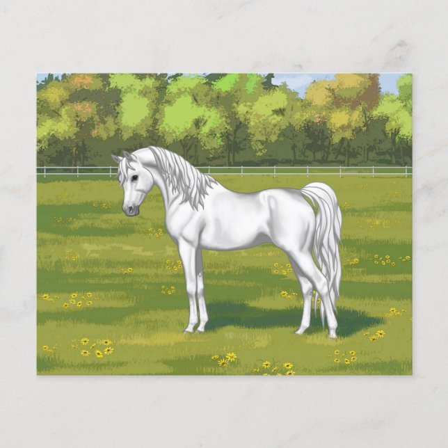 Lámina Caballo árabe egipcio blanco en pastura de verano (Anverso)