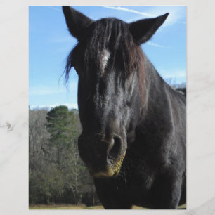 Lámina Caballo de Borrador Negro rescatado