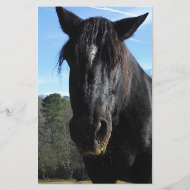 Lámina Caballo de Borrador Negro rescatado (Anverso)
