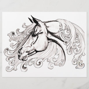 Lámina caballo hermoso