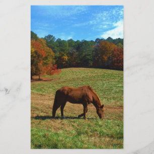 Lámina Caballo marrón rojo, árboles caídos, cielos azules