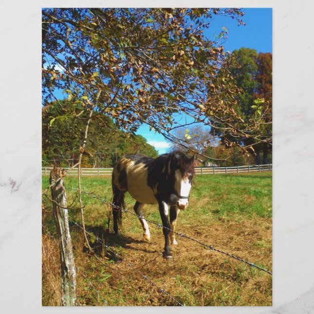 Lámina Caballo pintado, (Anverso)