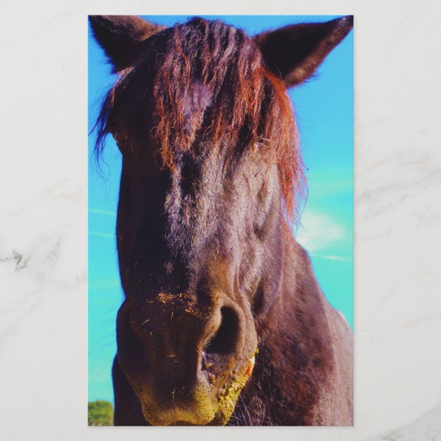 Lámina Caballo púrpura con boca verde (Anverso)