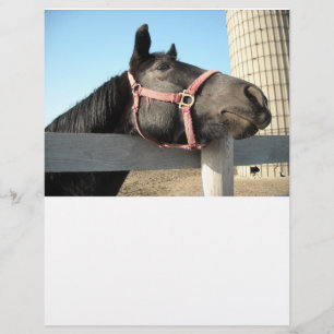 Lámina Caballo/Rancho/Barn