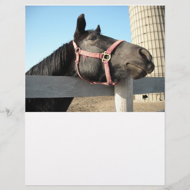 Lámina Caballo/Rancho/Barn (Anverso)
