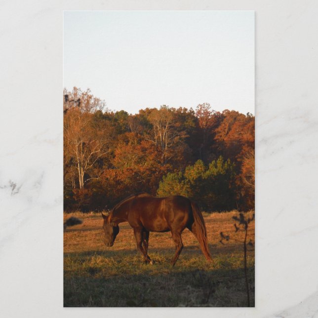 Lámina Caballo rojo marrón, bosque otoñal. (Anverso)