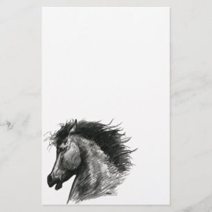 Lámina Caballo Salvaje Ferviente