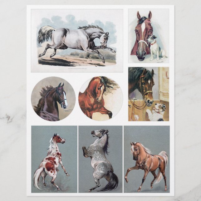 Lámina Caballos antiguos de postales de la era victoriana (Anverso)