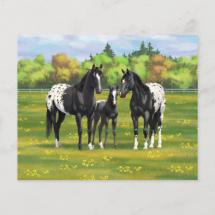 Lámina Caballos Appaloosa Negros En Pastel De Verano