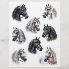 Lámina Caballos árabes con preciosas velas