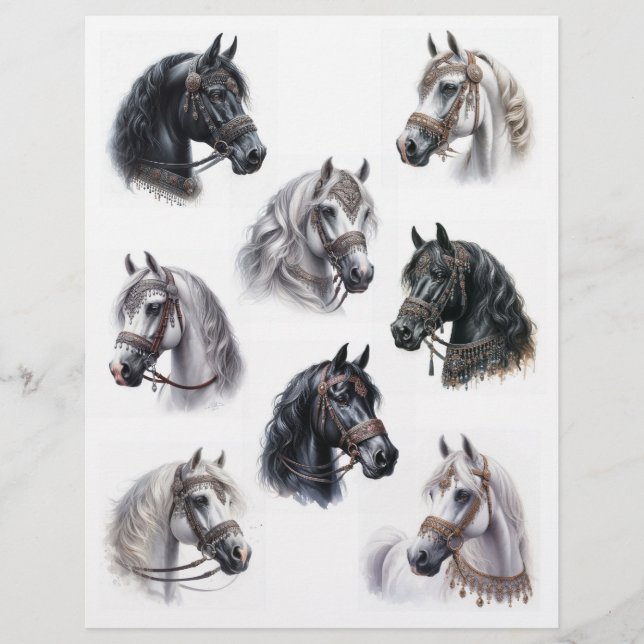 Lámina Caballos árabes con preciosas velas (Anverso)