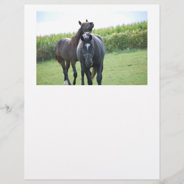 Lámina Caballos enamorados (Anverso)