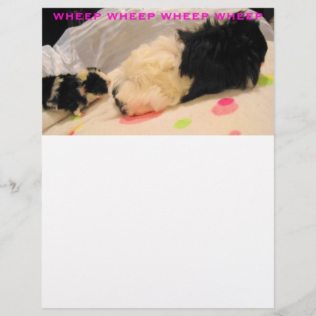 Lámina Cabezal de las letras de giro (Anverso)