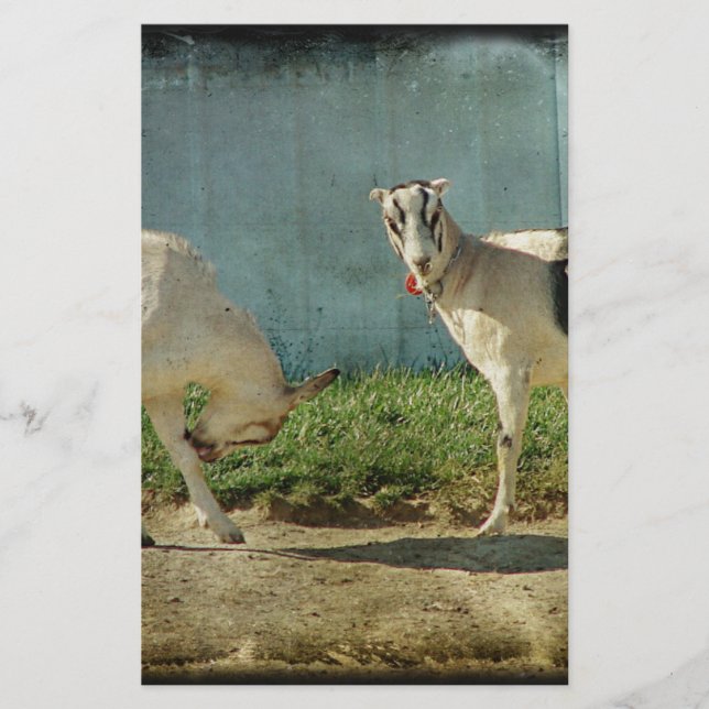 Lámina Cabras lecheras (Anverso)