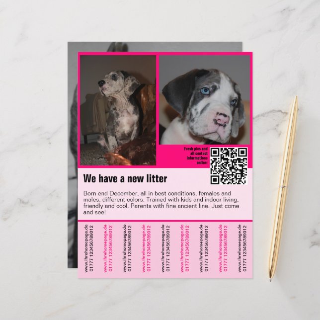 Lámina cachorros a la venta planilla de volante código QR (Anverso/Reverso In Situ)