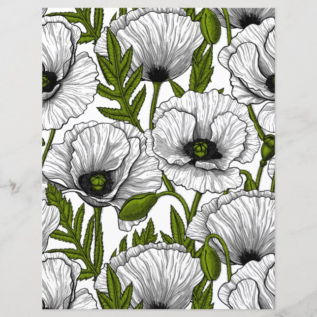 Lámina Cachorros blancos sobre blanco (Anverso)