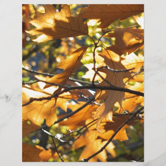 Lámina Caída amarilla (Anverso)