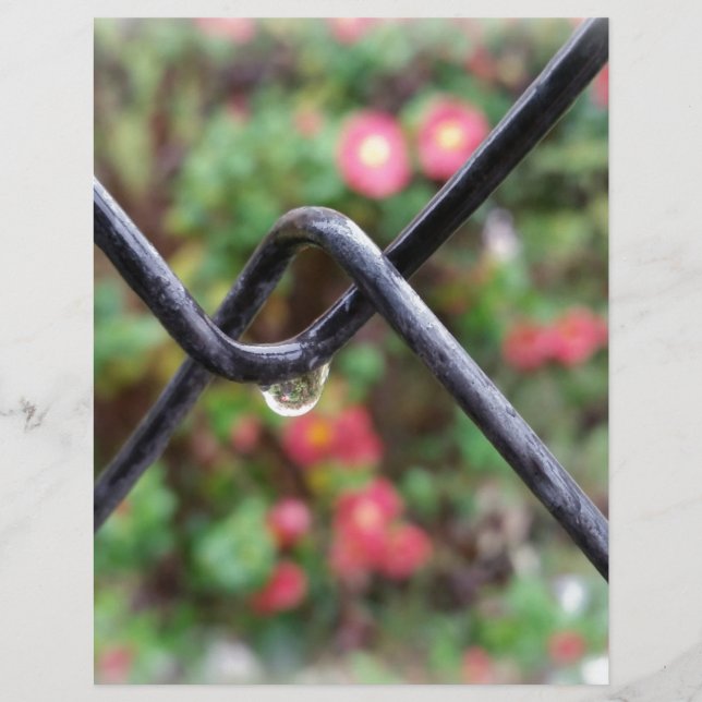 Lámina Caída de lluvia (Anverso)