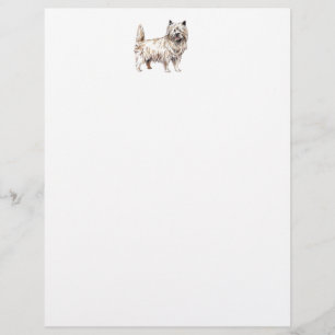 Lámina Cairn Terrier