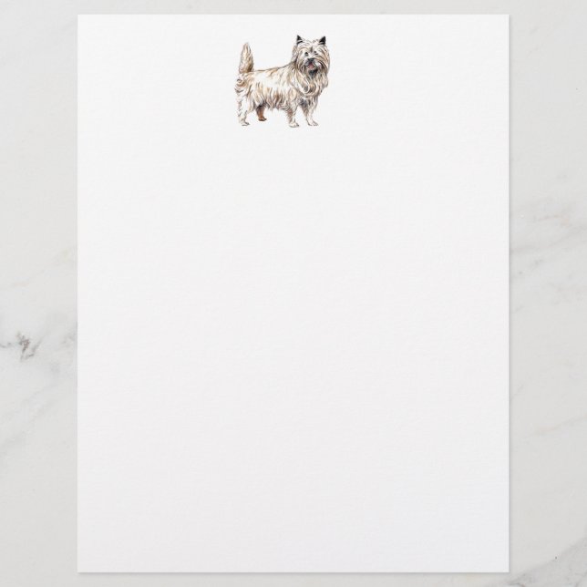 Lámina Cairn Terrier (Anverso)