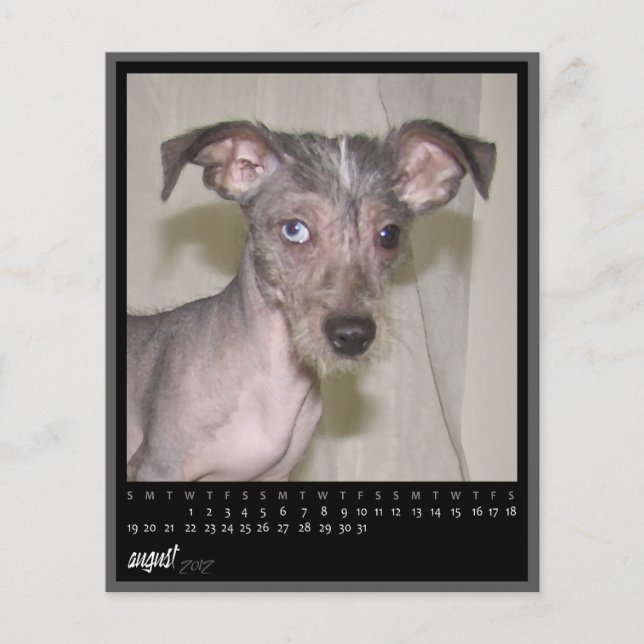 Lámina calendario de agosto de 2012 (Anverso)