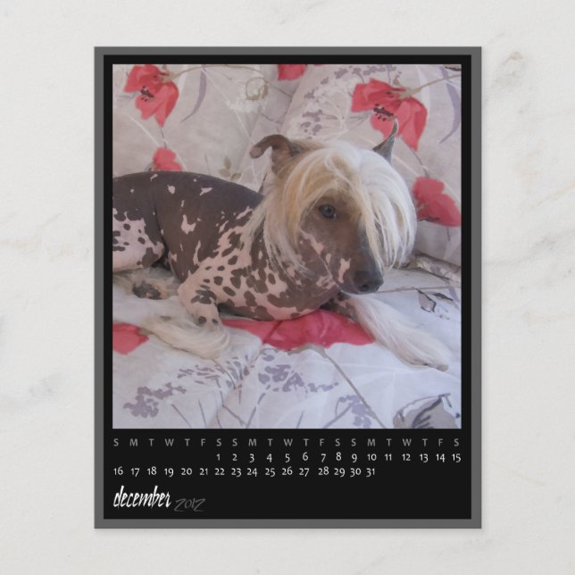 Lámina calendario de diciembre de 2012 (Anverso)