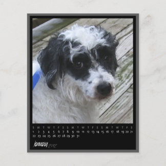 Lámina calendario de enero de 2012