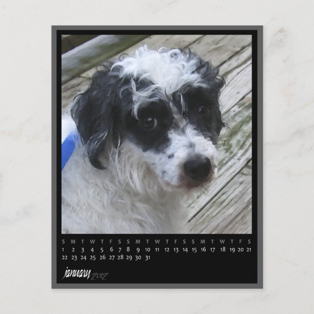 Lámina calendario de enero de 2012 (Anverso)