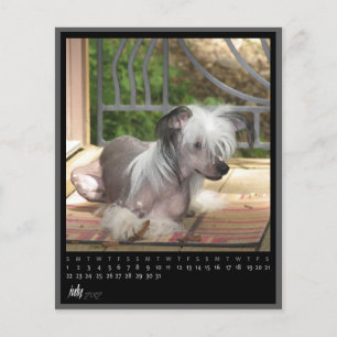 Lámina calendario de julio de 2012