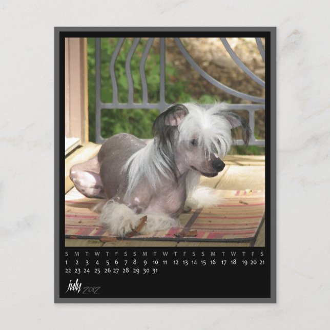 Lámina calendario de julio de 2012 (Anverso)