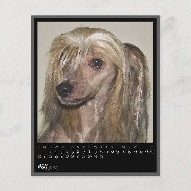 Lámina calendario de mayo de 2012 (Anverso)