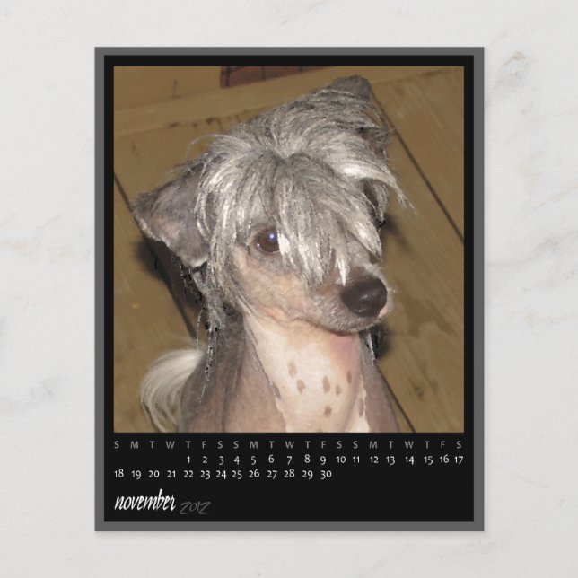 Lámina calendario de noviembre de 2012 (Anverso)