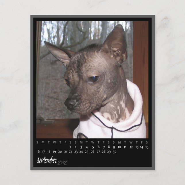 Lámina calendario de septiembre de 2012 (Anverso)