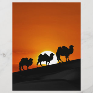 Lámina Camellos al atardecer