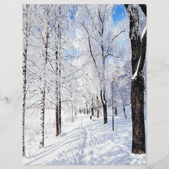 Lámina Camino de nieve (Anverso)