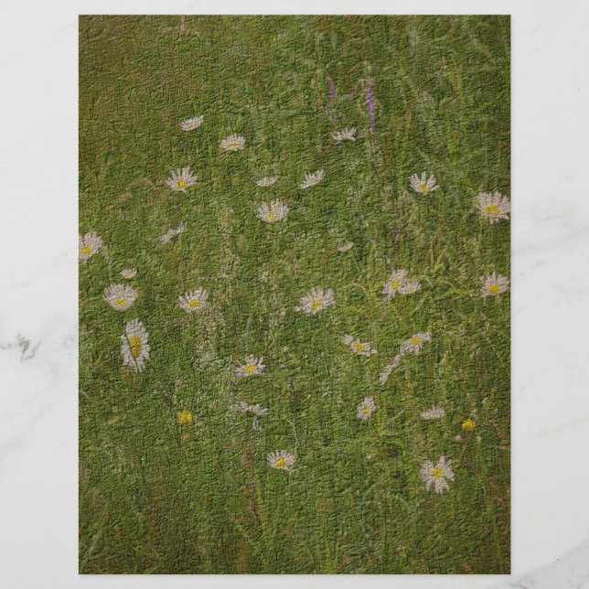 Lámina Campo texturado De Papel Floral De Daisies (Anverso)