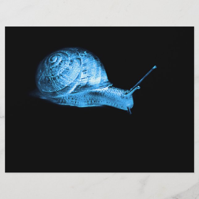 Lámina Caracol neón (Anverso)