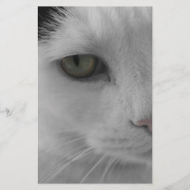 Lámina Caras de gatos blancos y negros