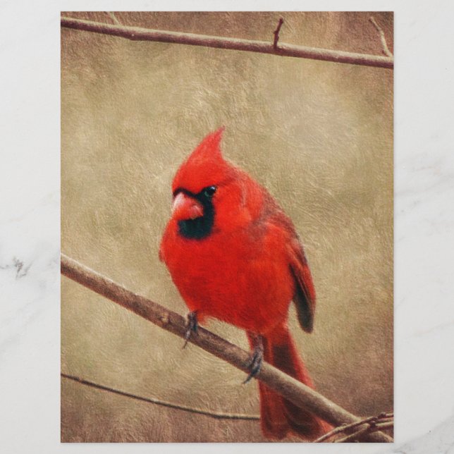 Lámina Cardinal (Anverso)