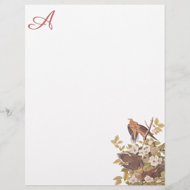 Lámina Carolina Turtle Dove Personalizado Letterhead (Anverso)