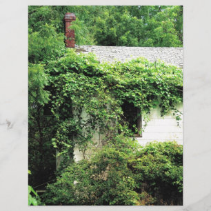 Lámina Casa Blanca abandonada en los bosques