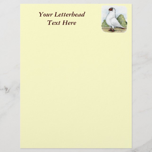 Lámina Casco: Paloma roja (Anverso)