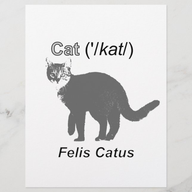 Lámina Cat Felis Catus (Anverso)